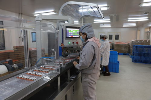 河北定興 科技特派團為企業發展添動能，加速技術推廣